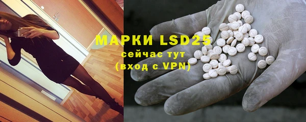 ГАЛЛЮЦИНОГЕННЫЕ ГРИБЫ Ладушкин